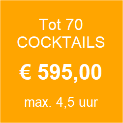 Cocktailbar huren Oss
